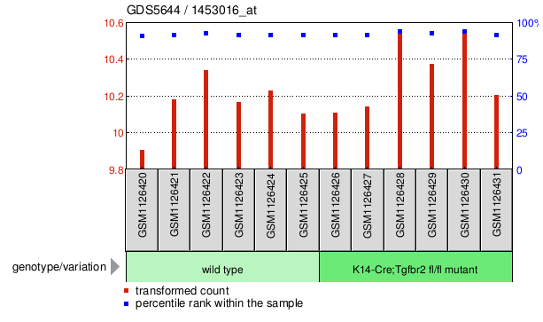 Gene Expression Profile