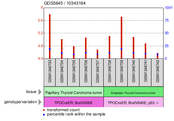 Gene Expression Profile