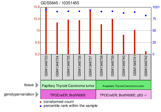 Gene Expression Profile