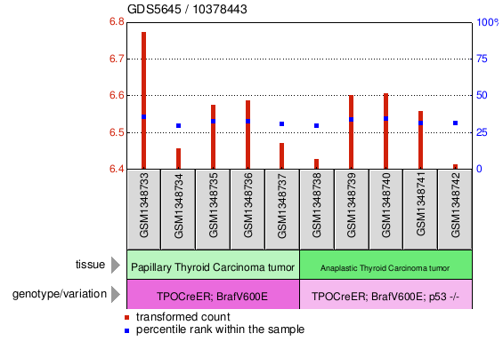 Gene Expression Profile