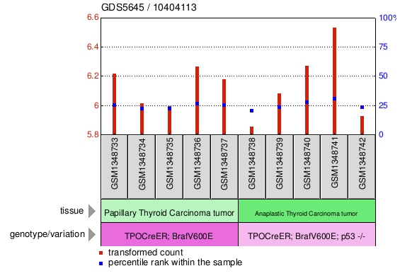 Gene Expression Profile