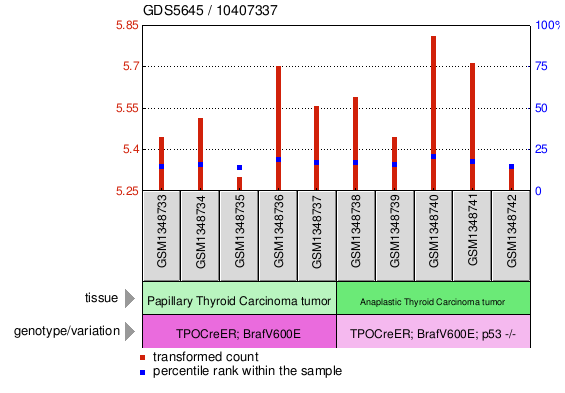 Gene Expression Profile