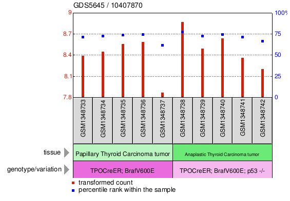 Gene Expression Profile