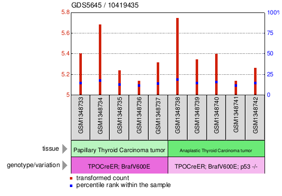 Gene Expression Profile