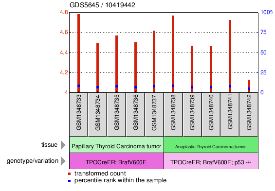 Gene Expression Profile