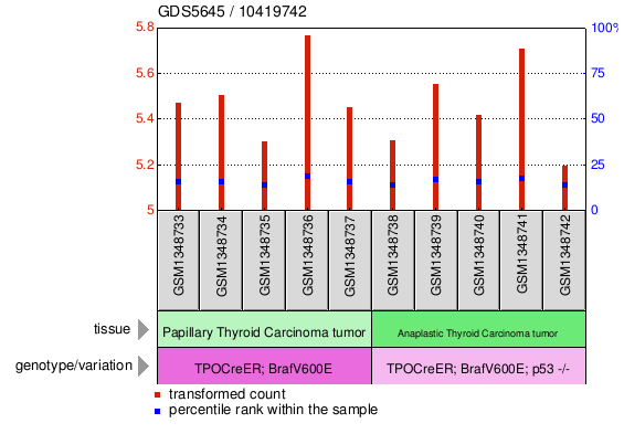 Gene Expression Profile