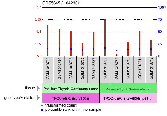 Gene Expression Profile