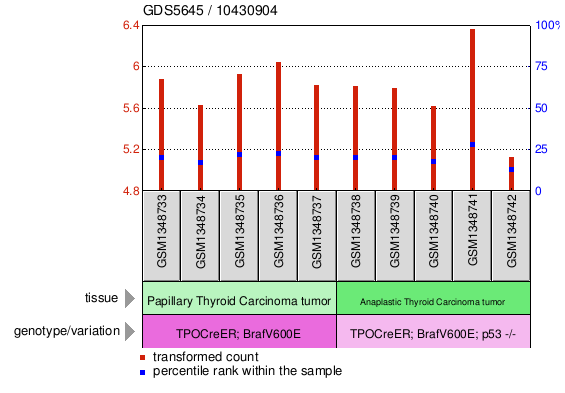 Gene Expression Profile