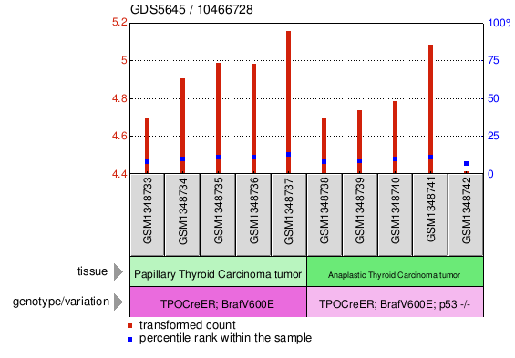 Gene Expression Profile