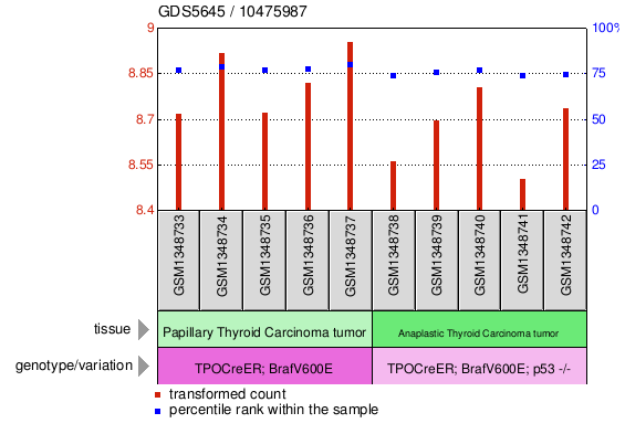 Gene Expression Profile