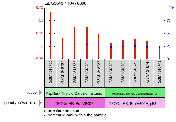 Gene Expression Profile