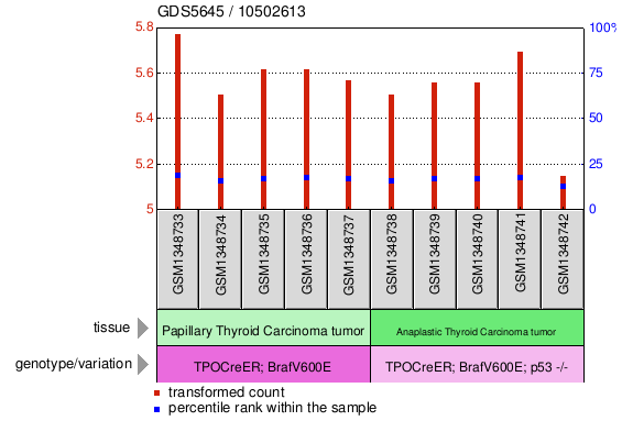 Gene Expression Profile