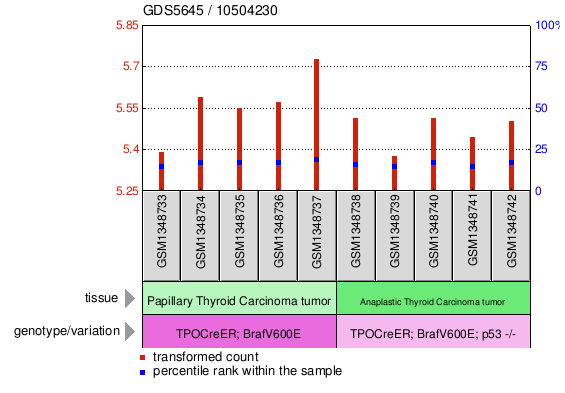 Gene Expression Profile