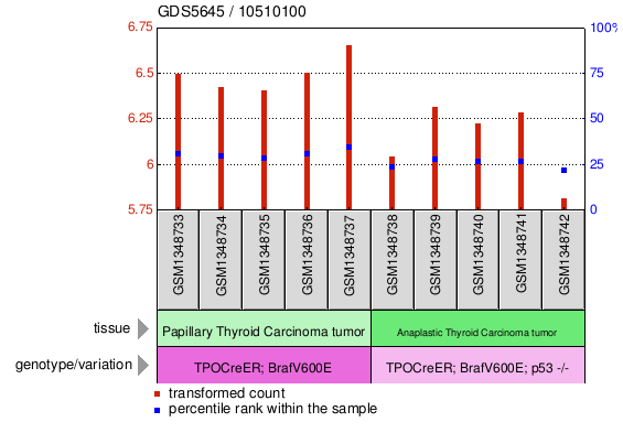 Gene Expression Profile