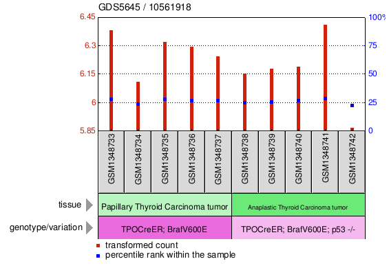 Gene Expression Profile