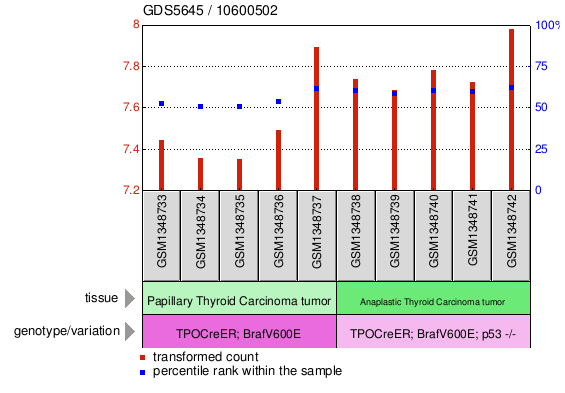 Gene Expression Profile