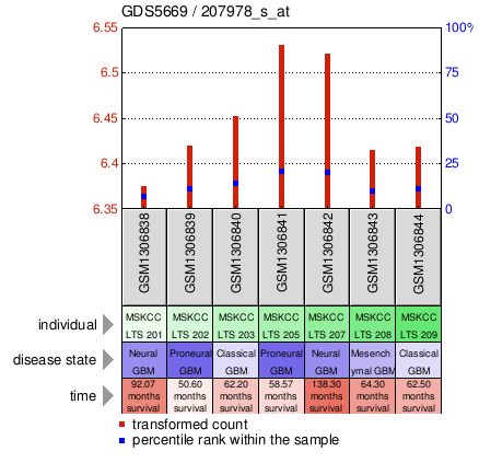 Gene Expression Profile