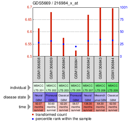 Gene Expression Profile