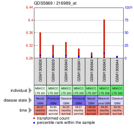 Gene Expression Profile