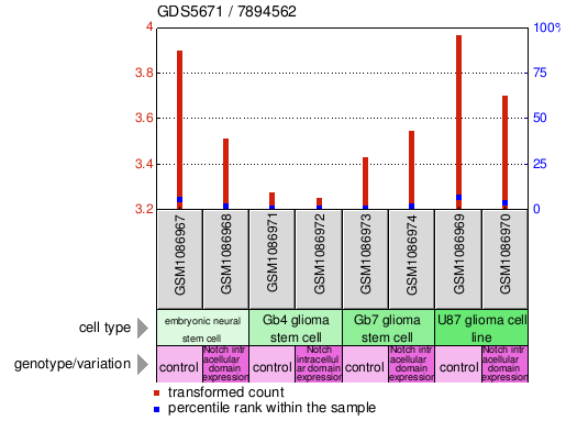 Gene Expression Profile