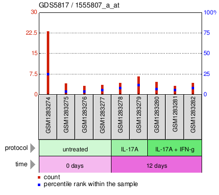 Gene Expression Profile