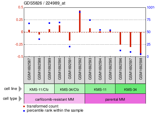 Gene Expression Profile