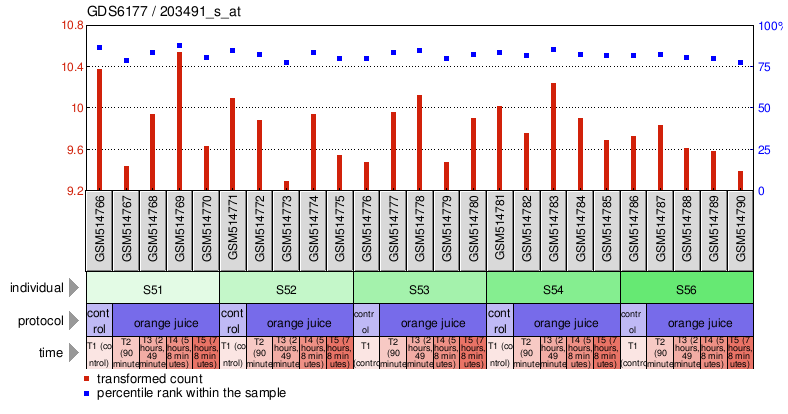 Gene Expression Profile