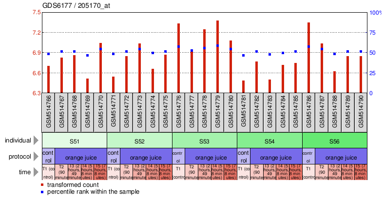 Gene Expression Profile