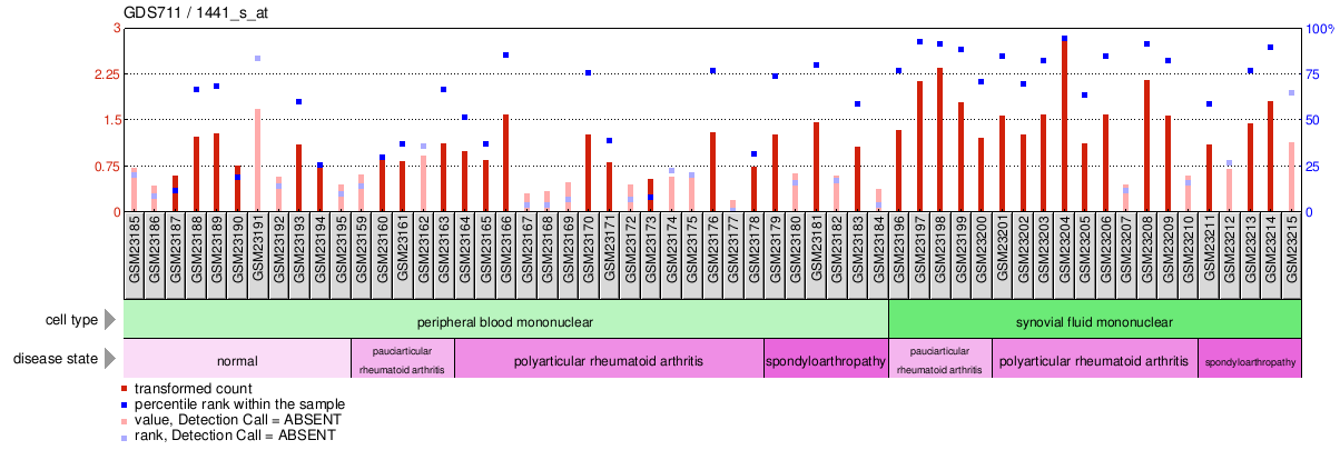 Gene Expression Profile