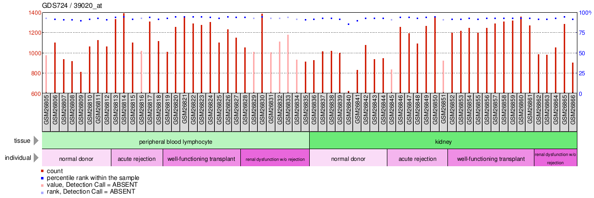 Gene Expression Profile