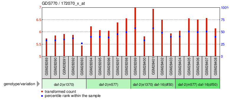 Gene Expression Profile