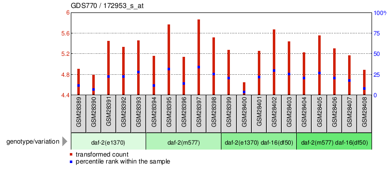 Gene Expression Profile