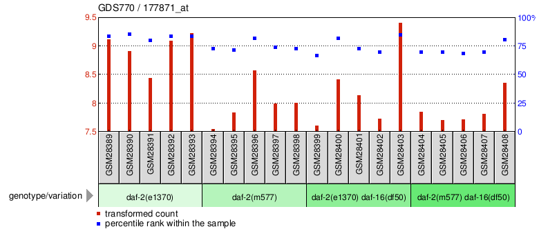 Gene Expression Profile