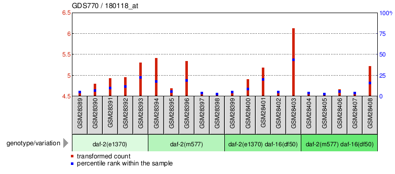 Gene Expression Profile