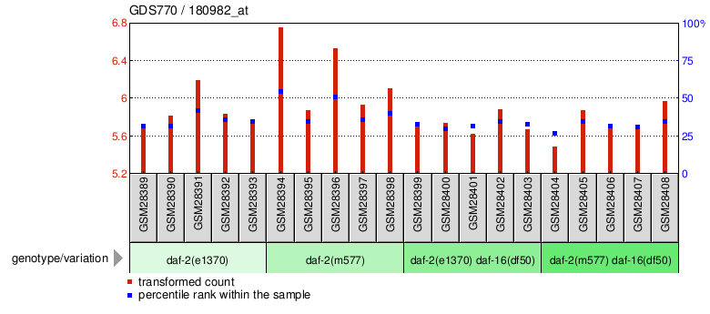 Gene Expression Profile