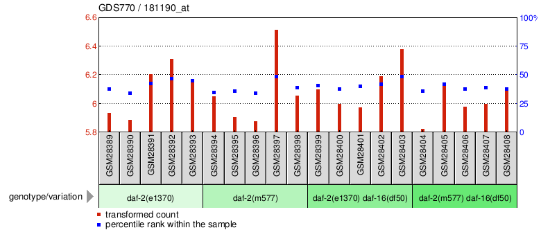 Gene Expression Profile