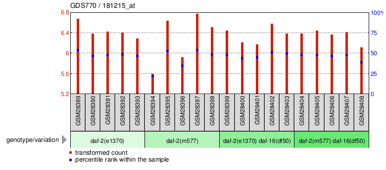 Gene Expression Profile