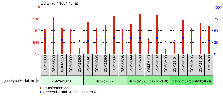 Gene Expression Profile