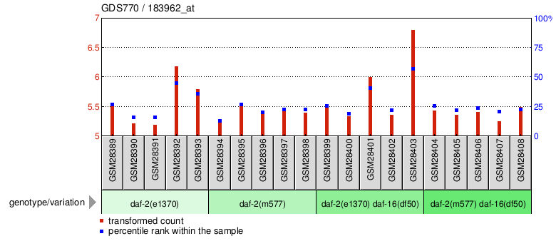 Gene Expression Profile