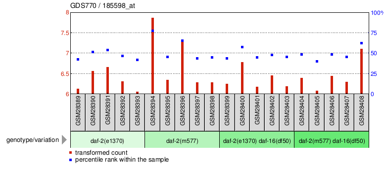 Gene Expression Profile