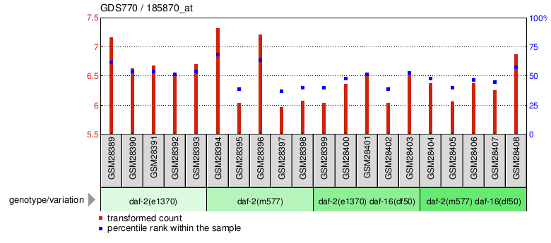 Gene Expression Profile