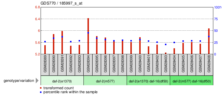 Gene Expression Profile