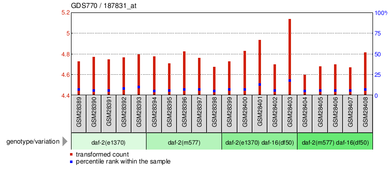 Gene Expression Profile