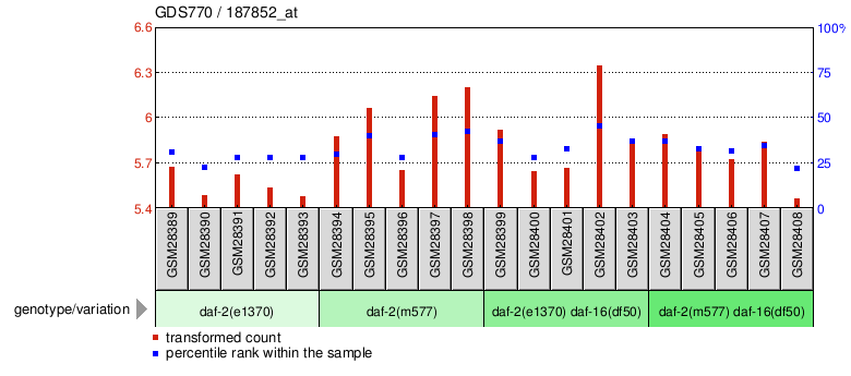 Gene Expression Profile