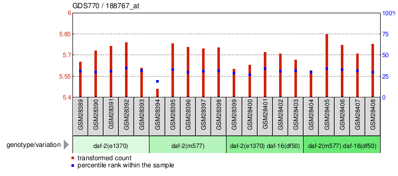 Gene Expression Profile