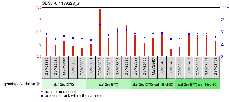 Gene Expression Profile