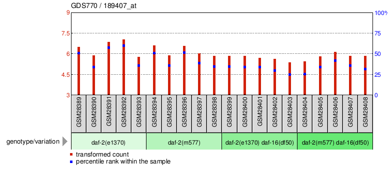 Gene Expression Profile