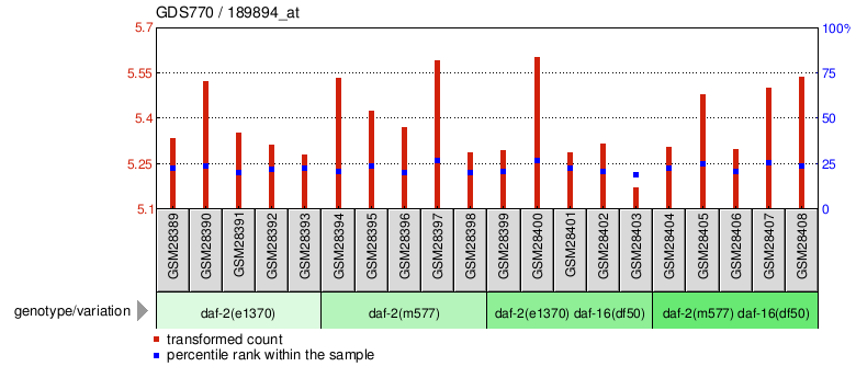 Gene Expression Profile