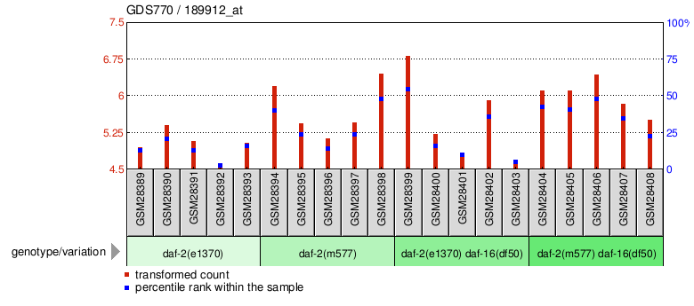 Gene Expression Profile