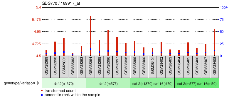 Gene Expression Profile